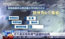 最新台风爆料视频播放大全,揭秘台风爆料视频大全
