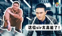 警网双雄在线观看,在线激战，正义之光闪耀网络